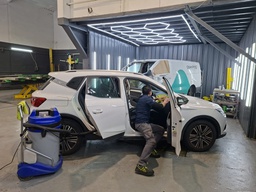 PK | Limpieza Completa (Mediano)